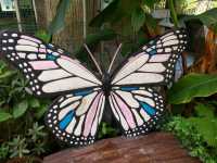 🦋【Butterfly Wonderland Genting】