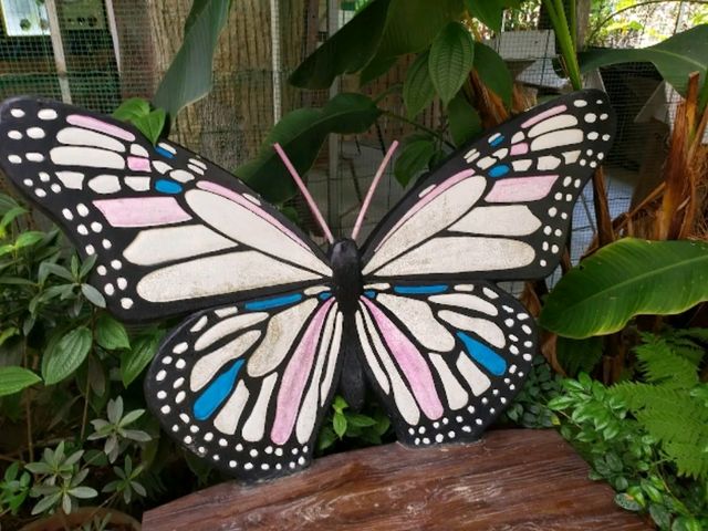 🦋【Butterfly Wonderland Genting】