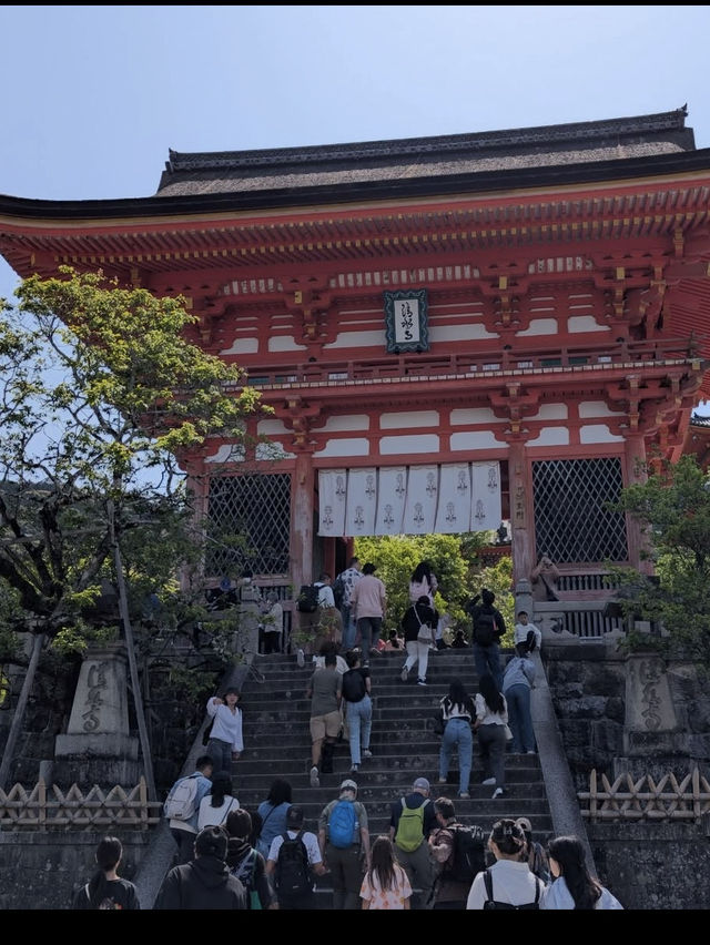 【清水寺】京都旅のスタートはここから！絶景と歴史に心奪われるひととき✨