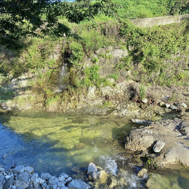 산청의 여름, 맑은 물에 발 담그고 힐링하기 🍃