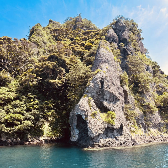 Irozaki Sightseeing Boat: A Solo Adventure Along Shizuoka’s Dramatic Coastline"** 🌊⛵  