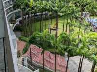 Vibrant Vibes & Island Glam – My Poolside Stay at W Singapore Sentosa Cove
