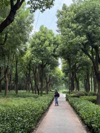 Discovering Shanghai: A Visual Journey Through Light, Nature, and City Glamour