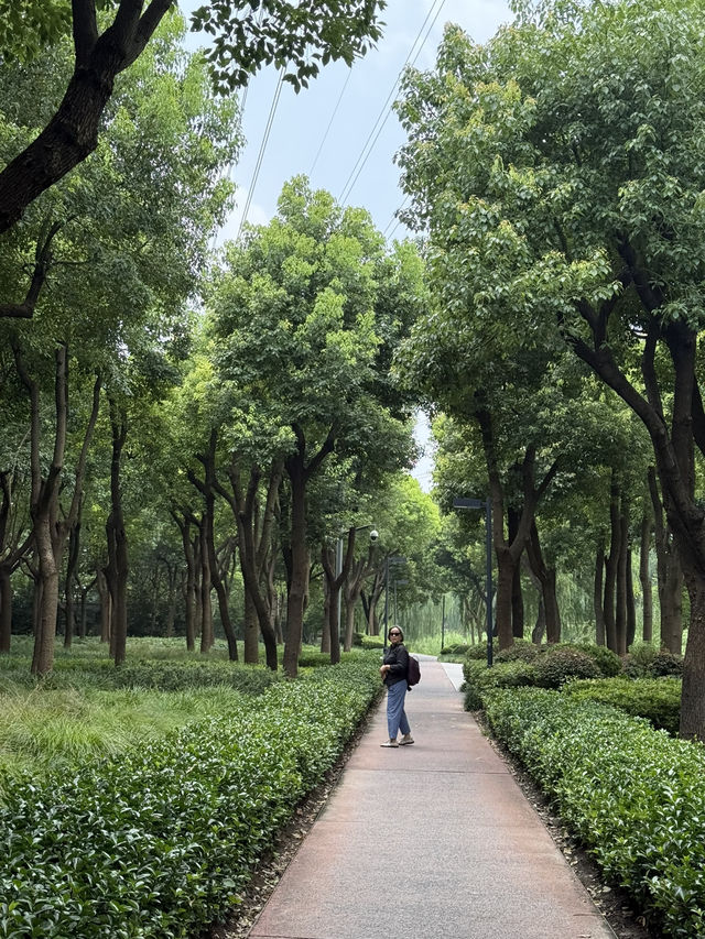Discovering Shanghai: A Visual Journey Through Light, Nature, and City Glamour