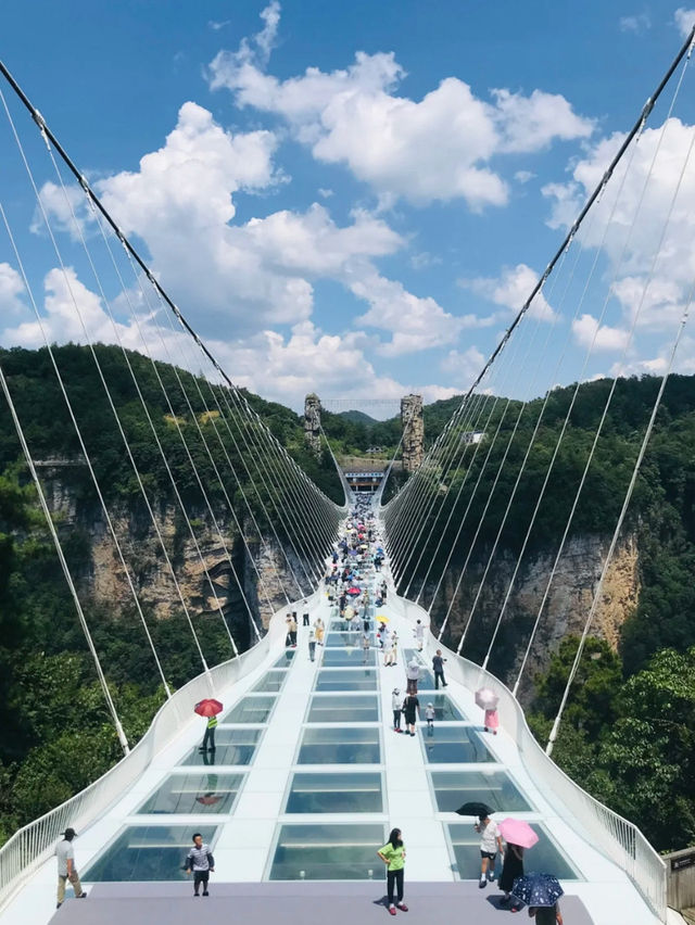 Suspended in Beauty: Zhangjiajie’s Glass Bridge Adventure