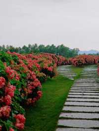 Lianhuashan Park 🌺 🍃 