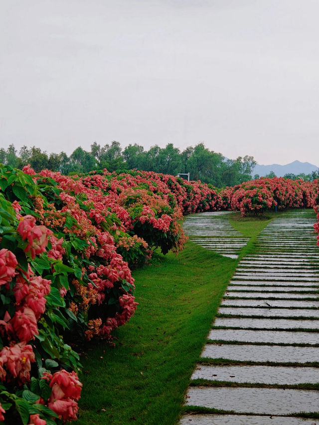 Lianhuashan Park 🌺 🍃 