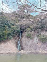 高松必去 - 栗林公園  感受江戶時代風情🌳