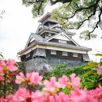 【日本三名城の一つ】熊本城🏯