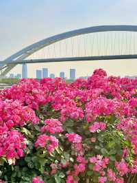 Monet Garden in the City | 20-Minute Park Effect in Central Shanghai 🌿🌸