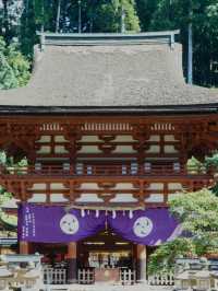 🇯🇵 和歌山の聖地、丹生都比売神社へ⛩️✨