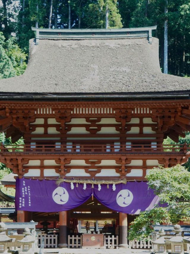 🇯🇵 和歌山の聖地、丹生都比売神社へ⛩️✨