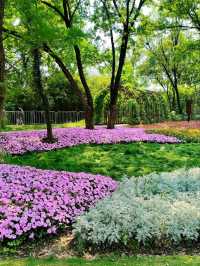 The Wetland That Taught Hangzhou to Breathe