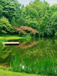 Where West Lake’s Romance Blooms – A Floral Fairytale for All Seasons