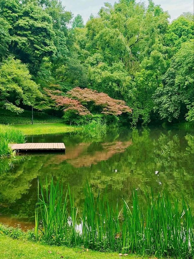 Where West Lake’s Romance Blooms – A Floral Fairytale for All Seasons