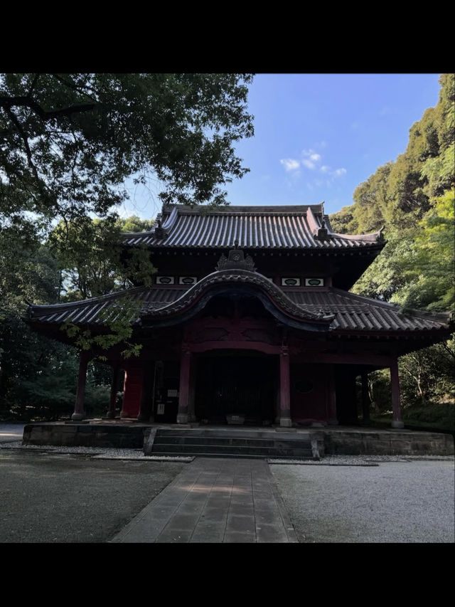 【多久聖廟】日本最古の孔子廟で、静寂と知の旅へ📚⛩️