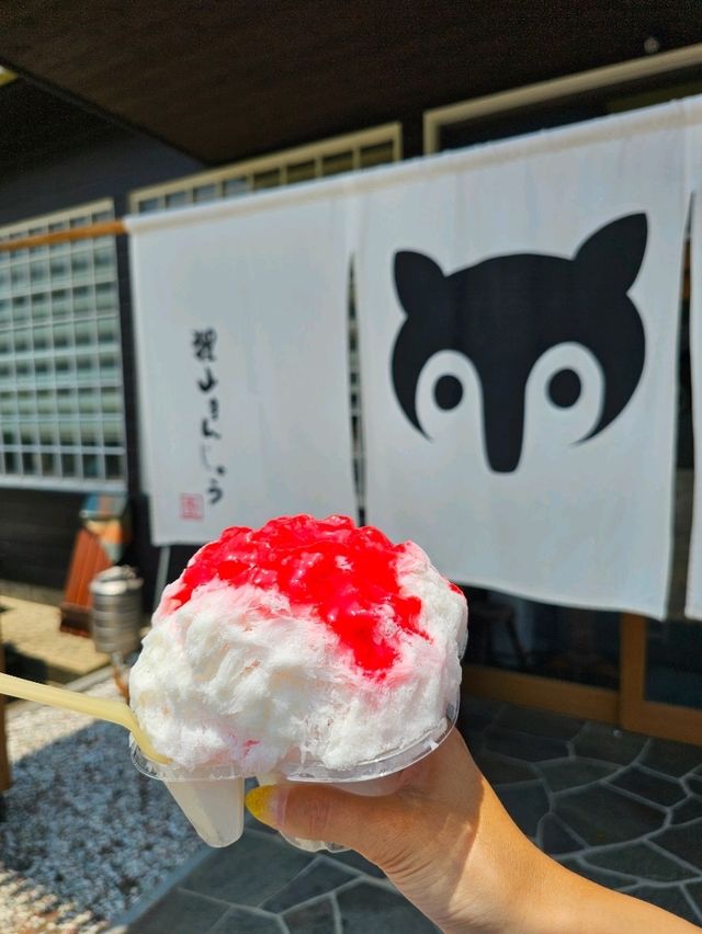 整理券制でも並ぶ価値あり！映える＆旨い氷時間📸💕
