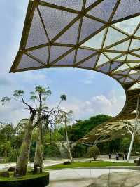 Your Morning Muse in KL: Nature, Calm, and Clarity
