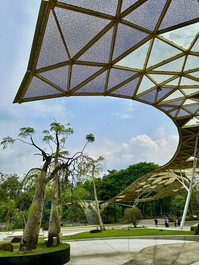 Your Morning Muse in KL: Nature, Calm, and Clarity