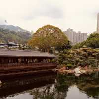 🌿✨ Escape to Tranquility: Discover Nan Lian Garden – Hong Kong’s Hidden Oasis! ✨🌿
