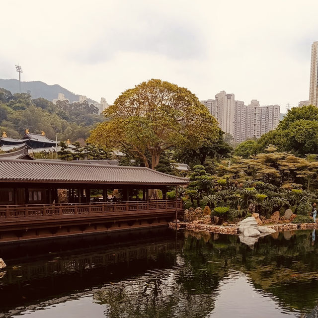 🌿✨ Escape to Tranquility: Discover Nan Lian Garden – Hong Kong’s Hidden Oasis! ✨🌿