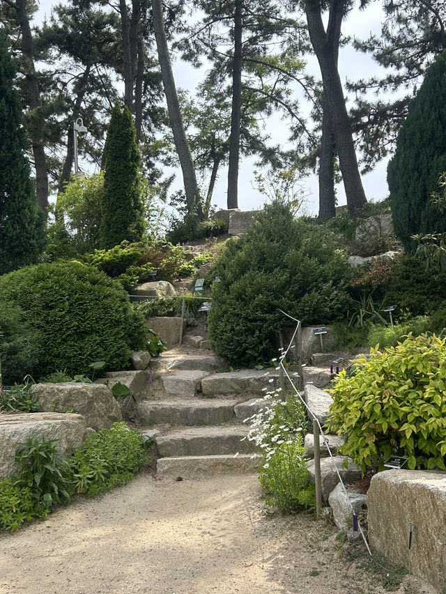 사계절 꽃향기 머무는 서해안 오아시스 🌳🤍💙