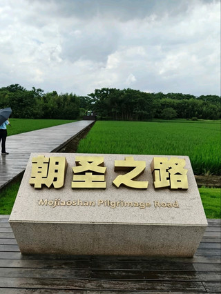 站在一座擁有5000年歷史的古城遺址上