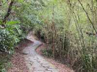 A Serene Escape at Bishanyan