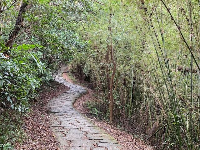 A Serene Escape at Bishanyan