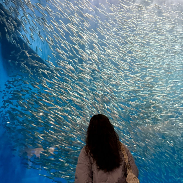 名古屋港水族館：海洋奇觀之旅 🐬