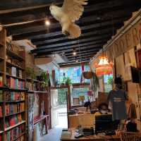 Literary Sanctuary Across the Seine