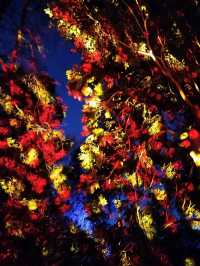 🎆Lightscape Part 1🎆
