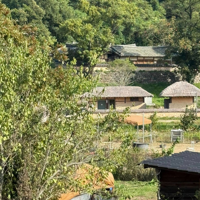 A Stroll Through Yangdong Folk Village