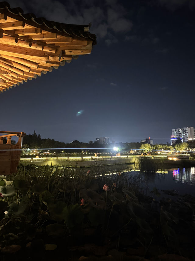 전주대 옆, 야경이 아름다운 호수 [전주 덕진공원] ✨