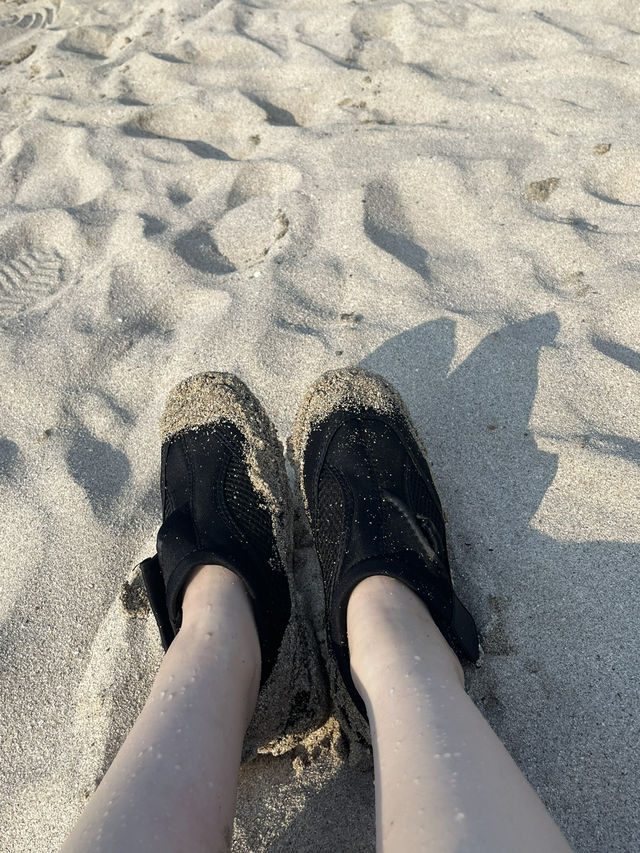 여름이 떠나가기 전 동쪽 제주 🌻