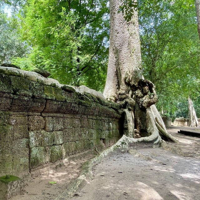 The spiritual devotion of the Khmer Empire 👫😎👍😍🌸❤️