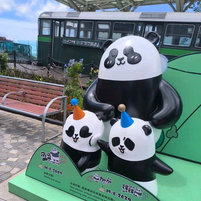 一日玩盡山頂廣場必踏路線