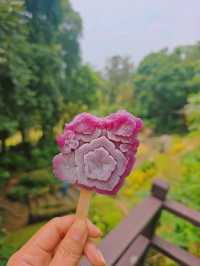 📍 ครัวตำหนัก ดอยตุง จ.เชียงราย 🌿✨