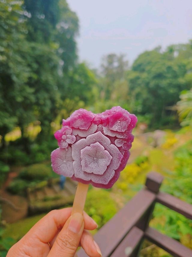 📍 ครัวตำหนัก ดอยตุง จ.เชียงราย 🌿✨