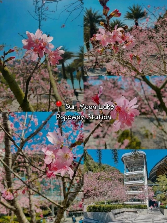 แจกแพลนเที่ยวไต้หวัน 6วัน 5คืน ไปเองไม่ง้อทัวร์ แจกแพลนเที่ยวไต้หวัน 6วัน 5คืน ไปเองไม่ง้อทัวร์