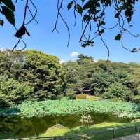 Tokyo National Museum (Tokyo)
