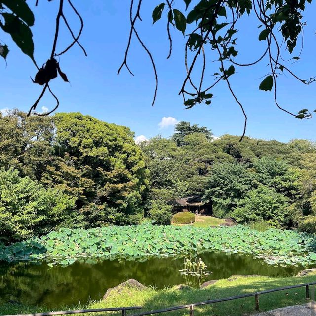 Tokyo National Museum (Tokyo)