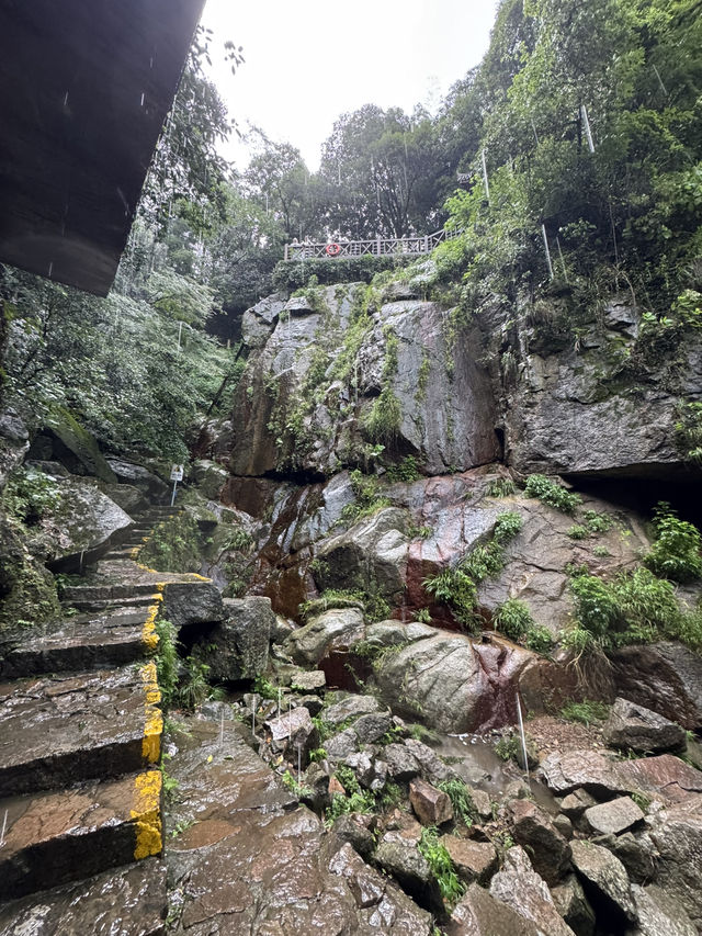 Trekking in beautiful Moganshan mountain 莫干山