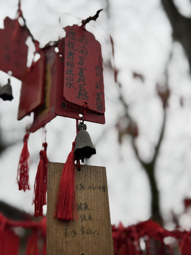 《黃龍溪 · 祈福木牌｜一木一願，一筆一心，皆託付於時光之流》