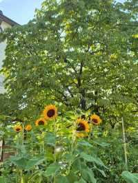 Sweet Sweet Beacon, upstate NY.