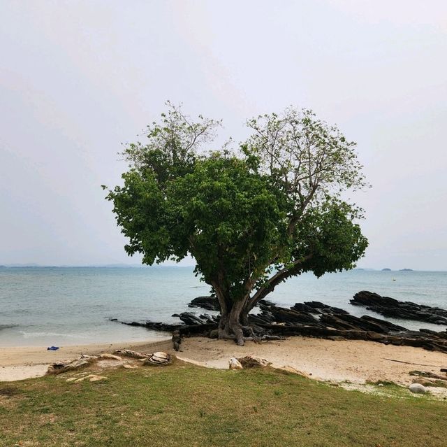 ทรายแก้วบีช รีสอร์ท เกาะเสม็ด🌊 ทรายแก้วบีช รีสอร์ท เกาะเสม็ด🌊