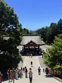 鐮倉｜不只櫻花季絕美 在荷花最美季節造訪鶴岡八幡宮