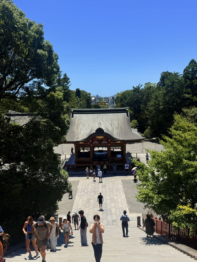 鐮倉｜不只櫻花季絕美 在荷花最美季節造訪鶴岡八幡宮