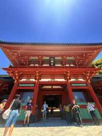 鐮倉｜不只櫻花季絕美 在荷花最美季節造訪鶴岡八幡宮