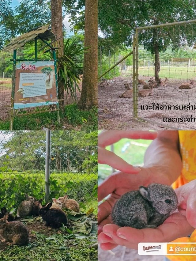 เกษตรศิริฟาร์ม @ ระยอง